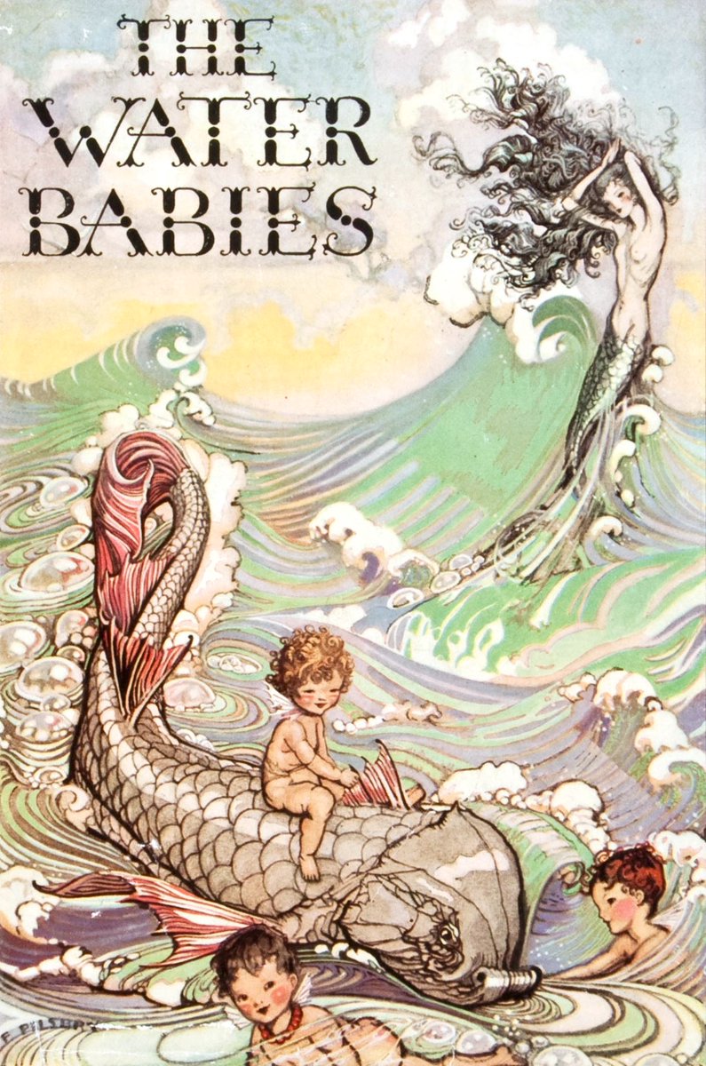 Flamenco Nut 🍄 tweet media