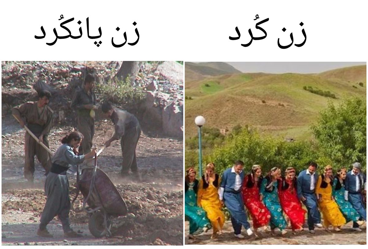 کمپین ضد پانترکیسم tweet media