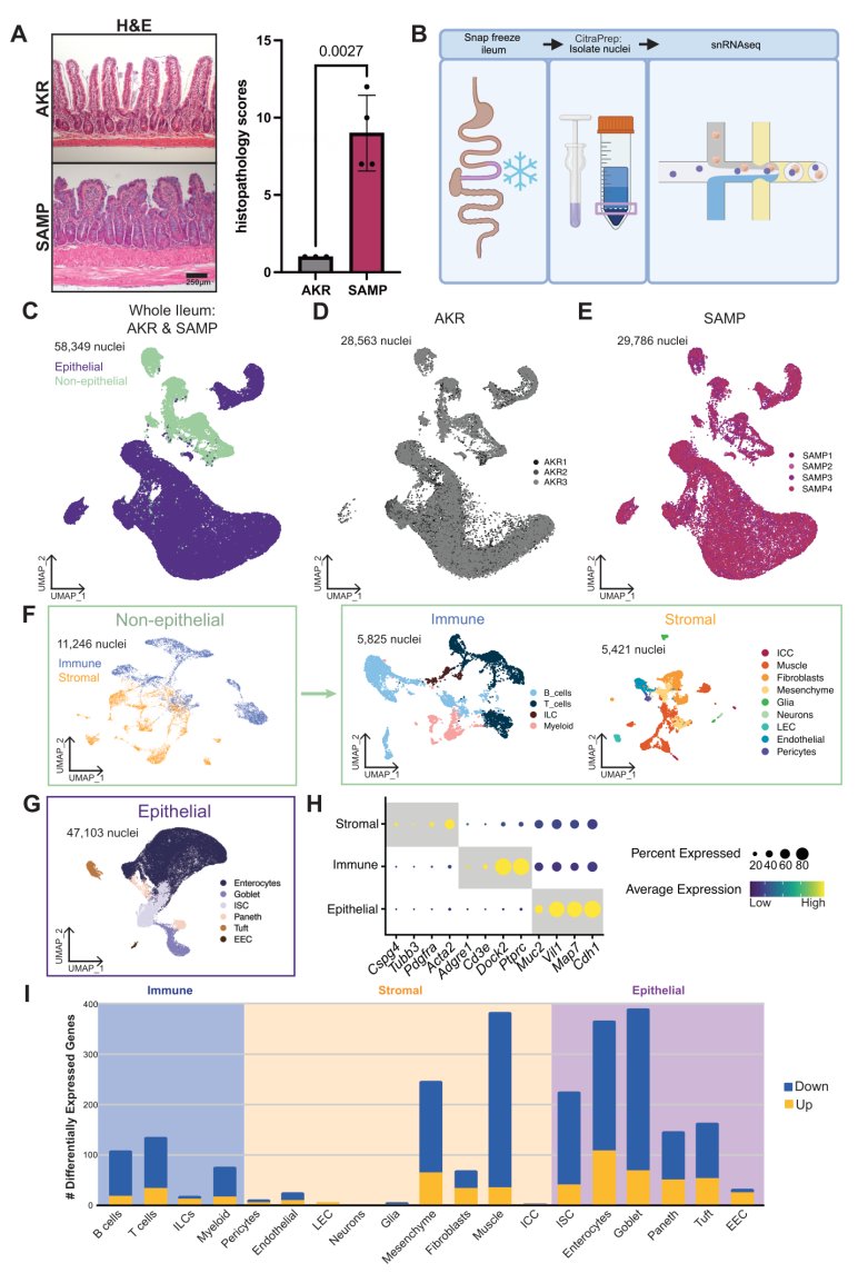 Gut Journal tweet media
