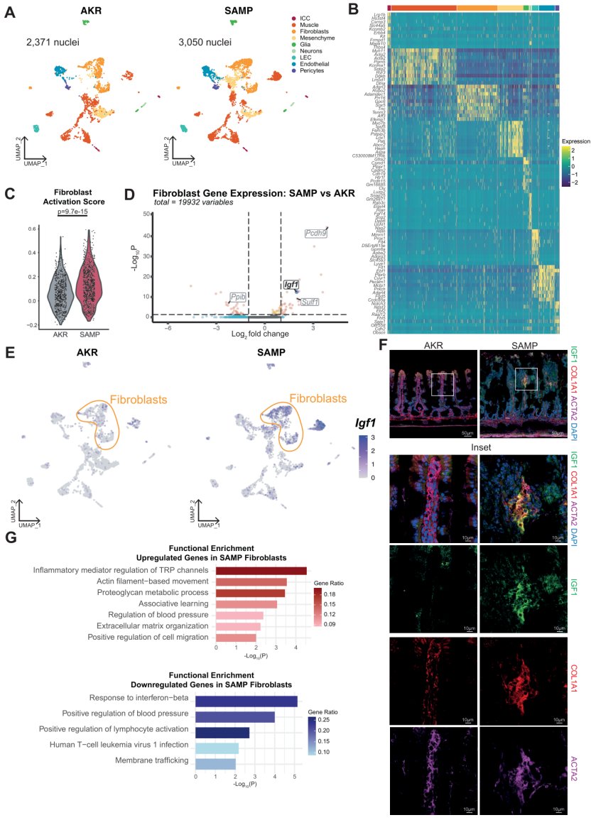 Gut Journal tweet media