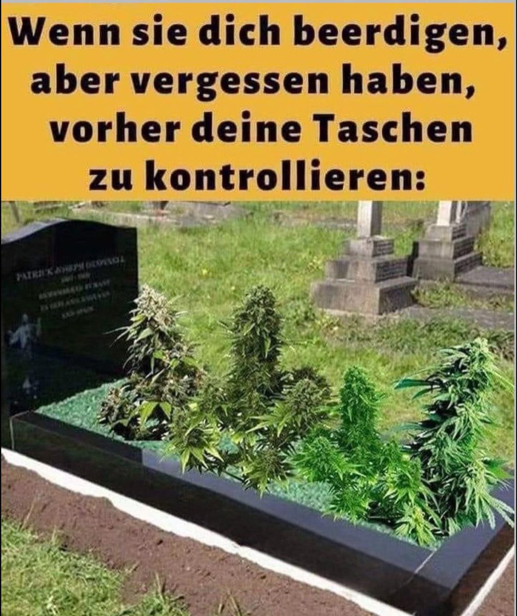 Franziska_hl's tweet photo. https://t.co/GuBqqjaeAB