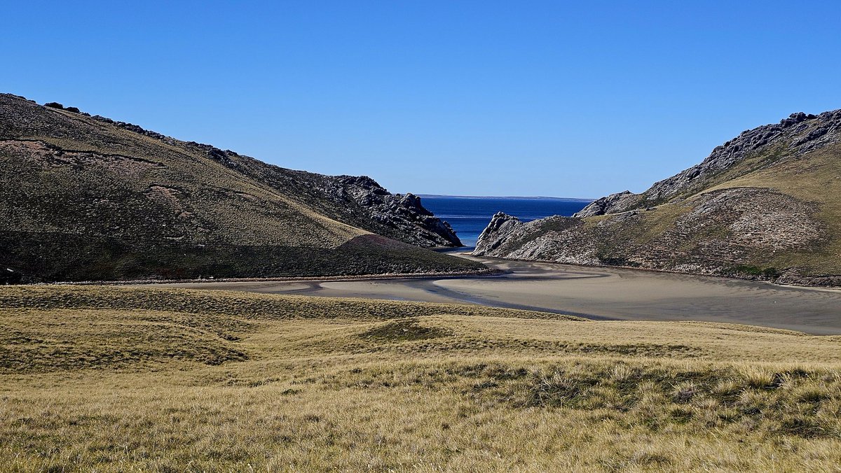 Sue Luxton tweet media