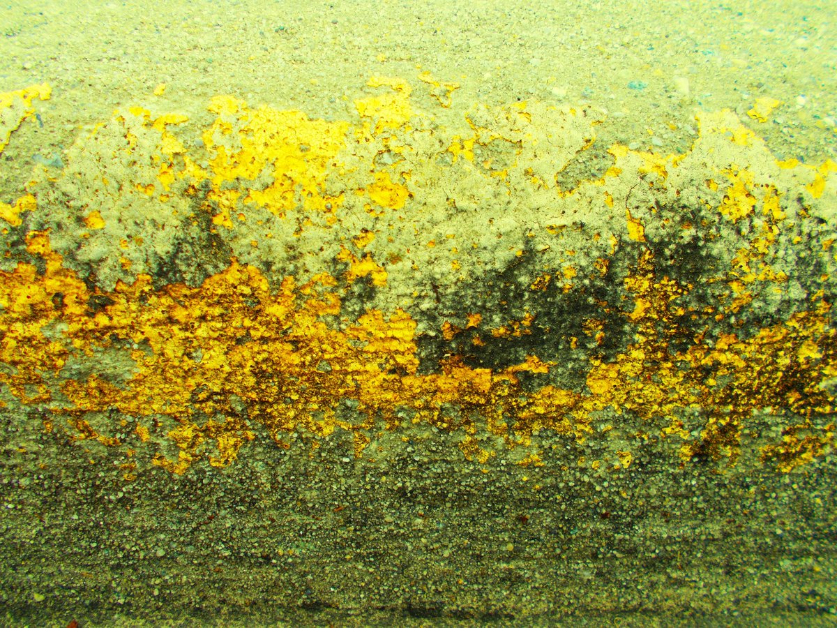 ArtsGlenAllen's tweet image. NEW! GALLERY SHOW - OPENING RECEPTION
Thursday, March 19th at The Cultural Arts Center at Glen Allen
6-8pm - Free Event  |  Wine/Beer Cash Bar

Don't miss the grand opening of TWO new exhibits at this special event! 
#rvaart #supportlocalartists