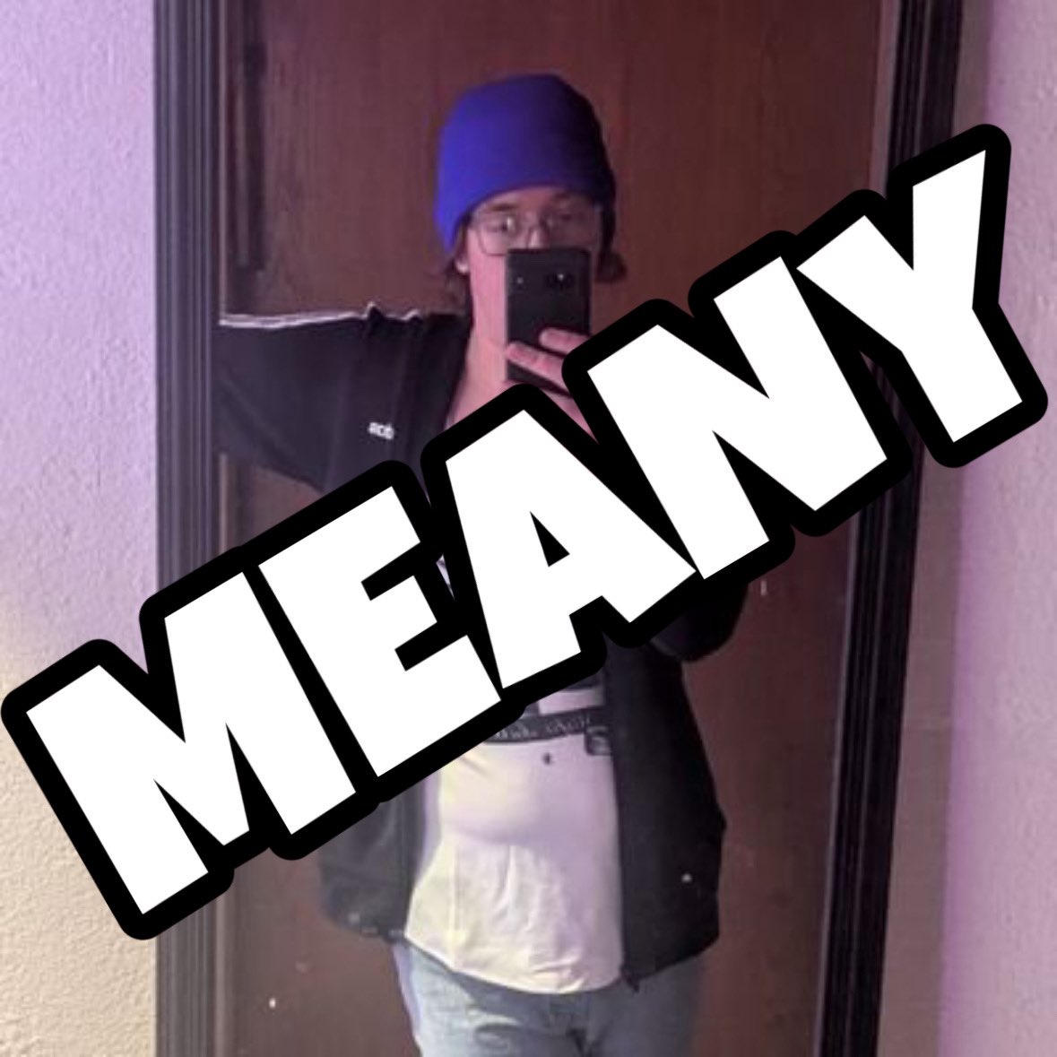 🧊atwalp 64❄️ tweet media