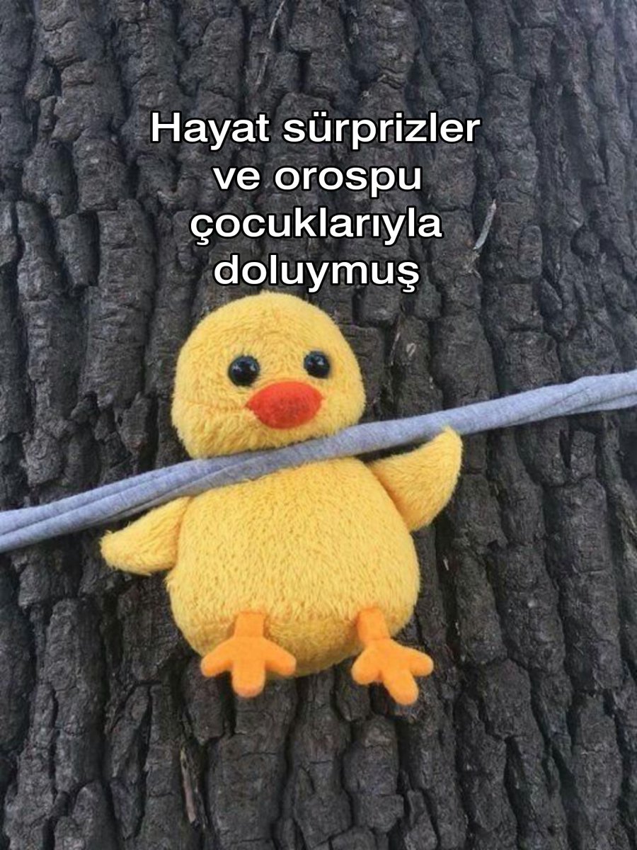 ︎Mutsuz (@100de100mutsuz) on Twitter photo 