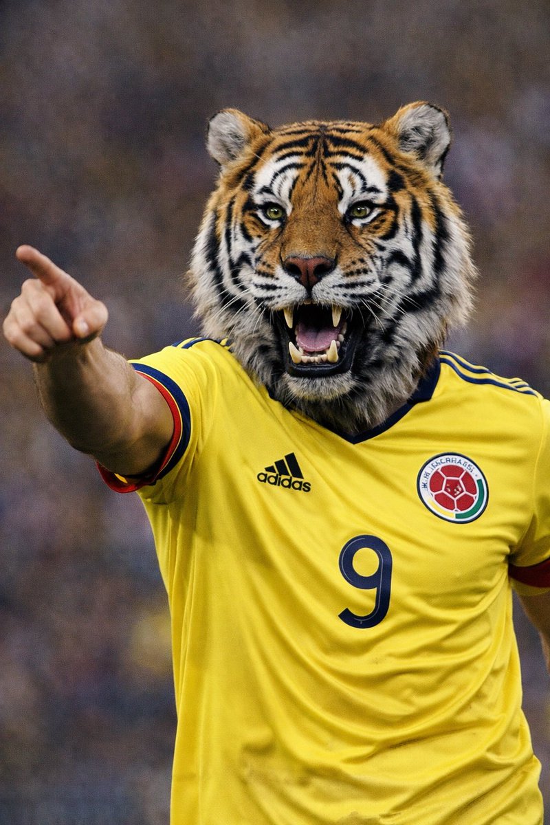 GOB - Guardians Of The Ball tweet media