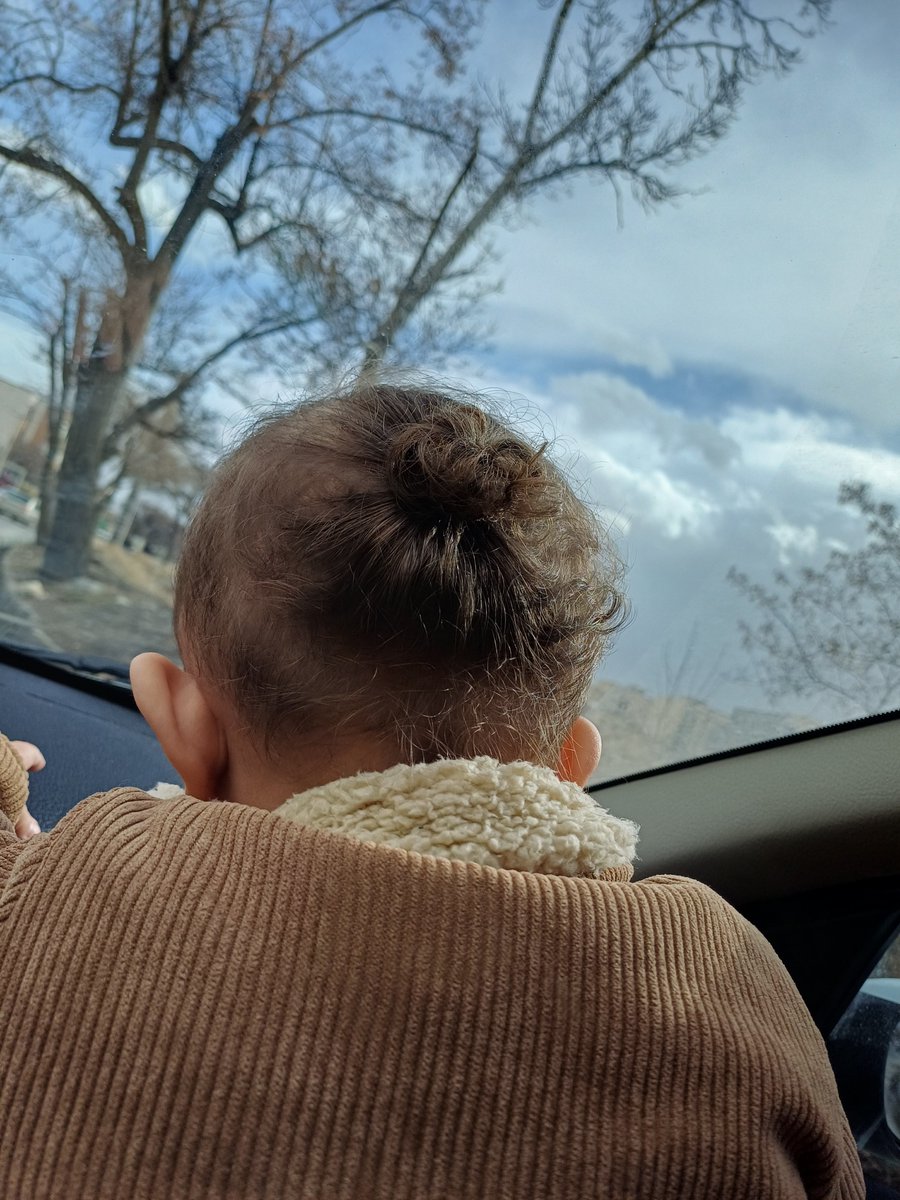 fardadcoin tweet media