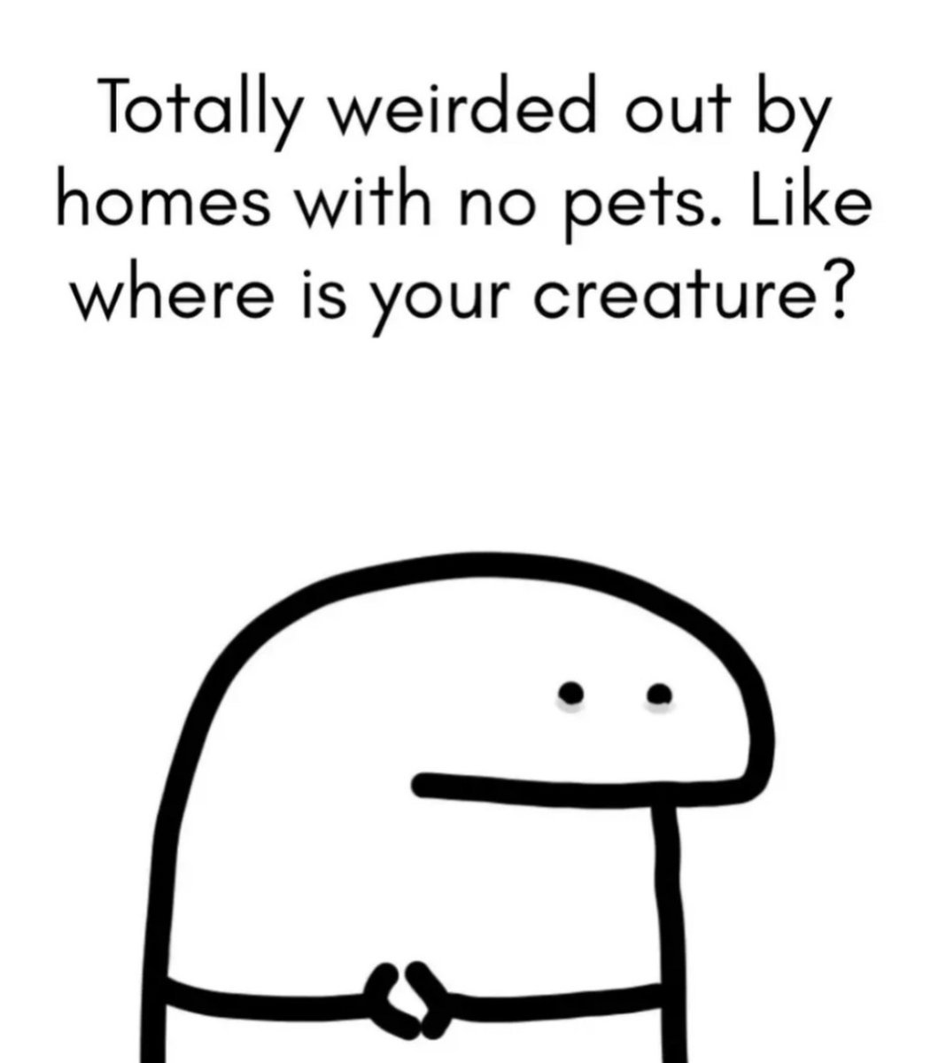 Respectful Memes (@respectfulmemes) on Twitter photo 