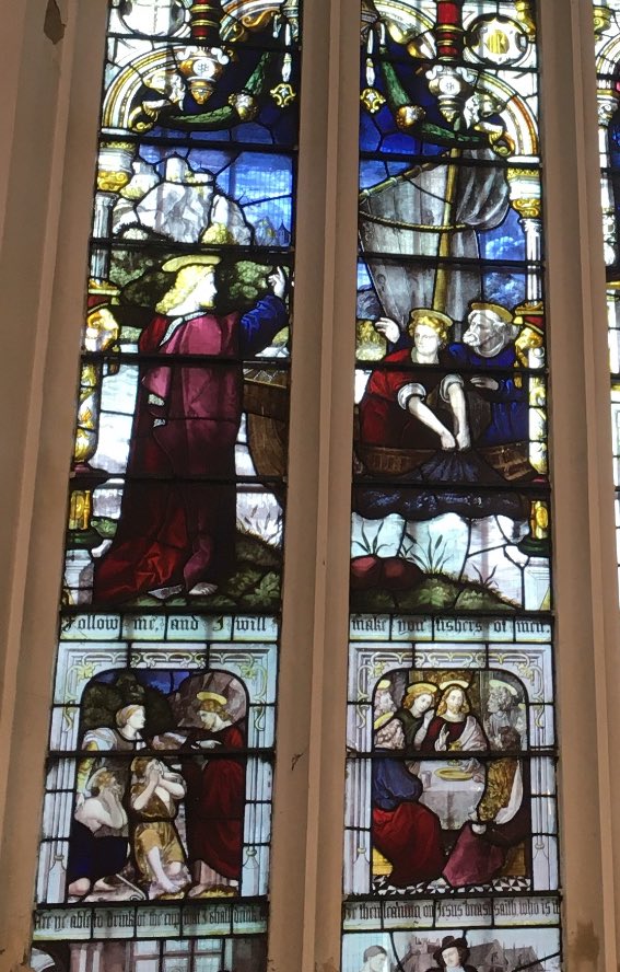 Barbara🦕 tweet media