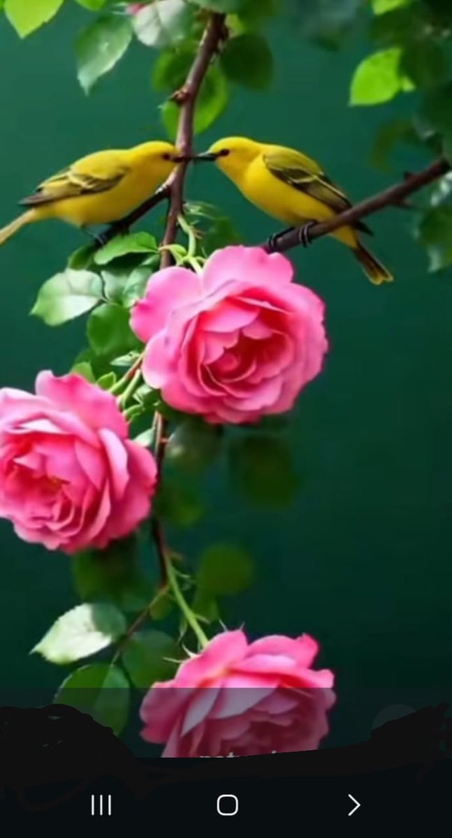 NTfyly's tweet photo. @amiranaamo1 ساحرة تستحق https://t.co/A3DSlQmHka