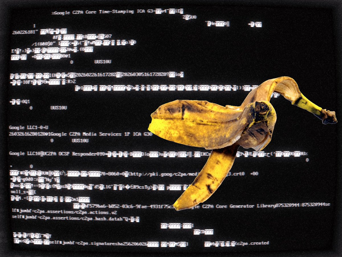 bots don't cry tweet media