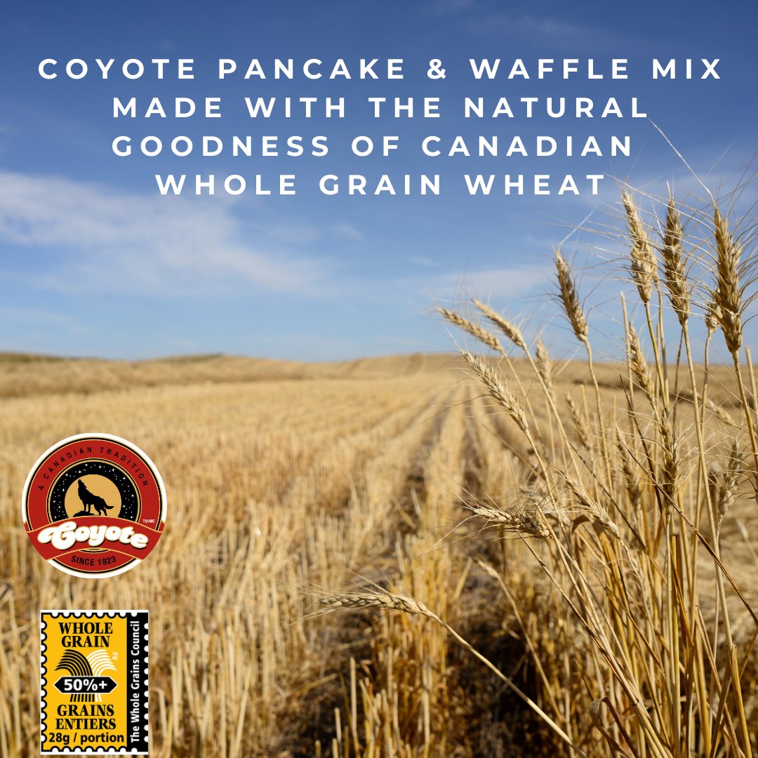 At Coyote Pancakes and Waffle Mix, we are proud that the wheat we use is grown and produced on our own lands in Alberta!🍁

#madeincanada #madeincanadamatters #supportlocal #Canada #localbusiness #pancakes #pancakestack #fluffypancakes #waffles  #wholegrains #wholegrains_council