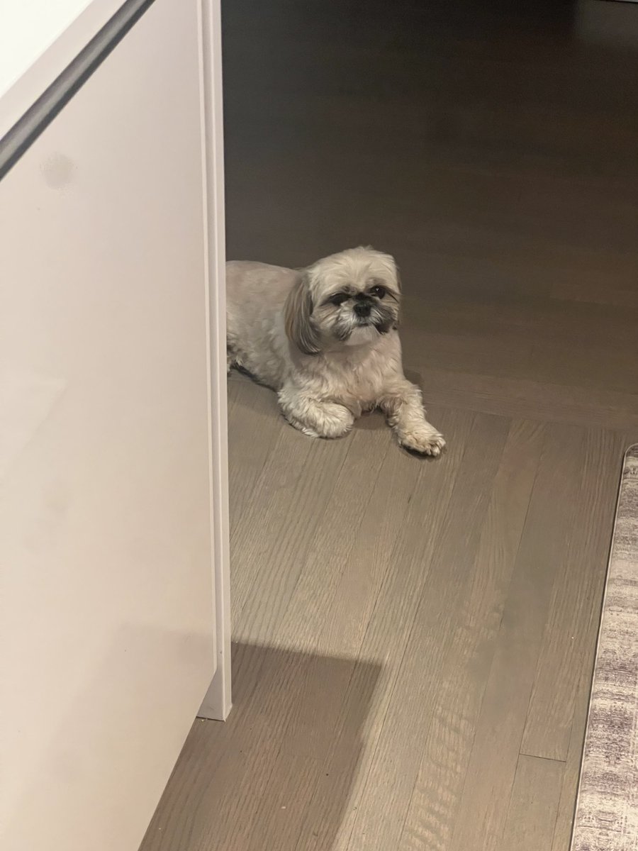 Ashkan Karbasfrooshan tweet media