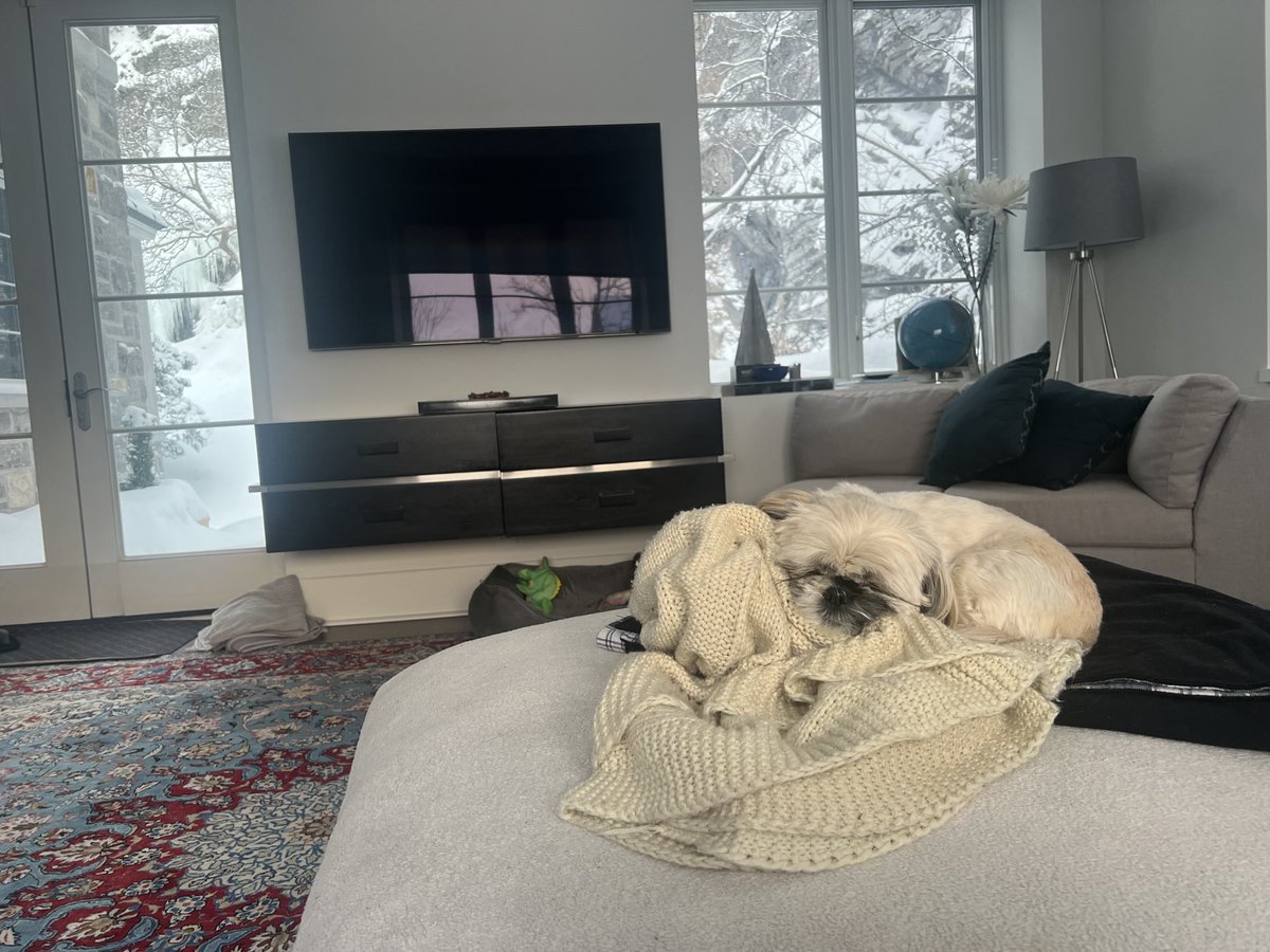 Ashkan Karbasfrooshan tweet media