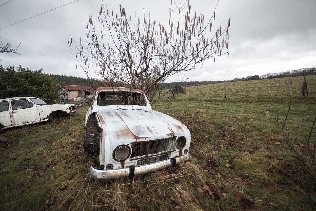 Cosas Abandonadas tweet media