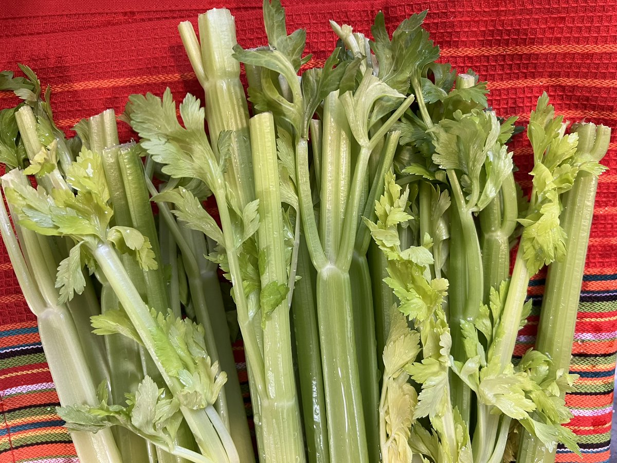 AngelaTague's tweet image. Guess what I'm drinking this morning? Yep, I'm on week two of having celery juice in the morning on an empty stomach...

facebook.com/CupcakesAndYog…

#CupcakesAndYogaPants #CeleryJuice