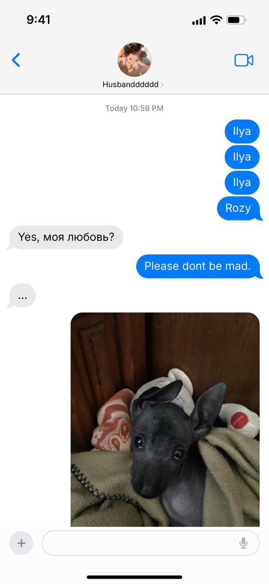 realshanerozy's tweet image. Small #hollanov Samu honorable mention of the other Hollander rozanovs #porkhollander #tunamelt