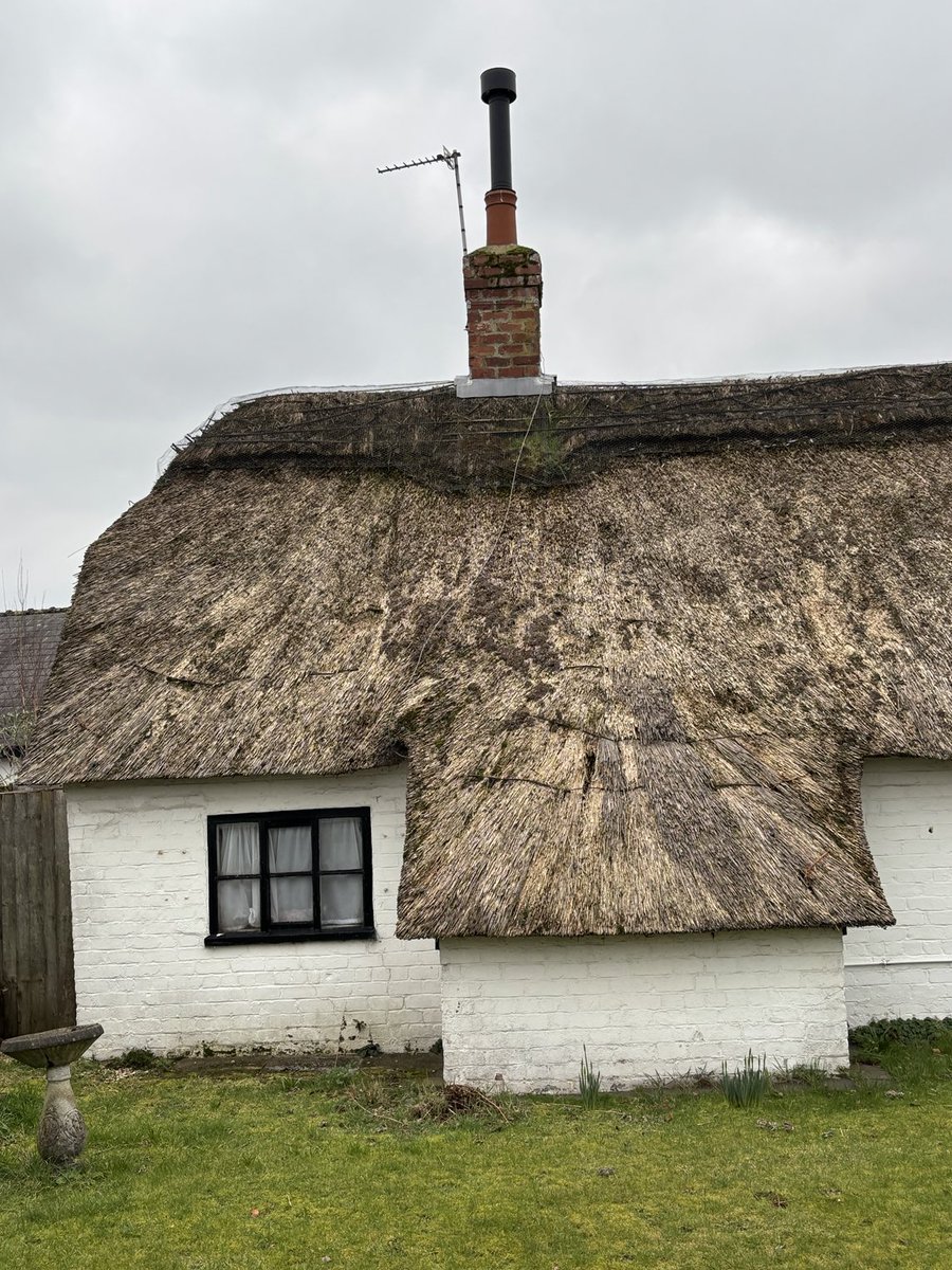 Master Thatchers Ltd tweet media