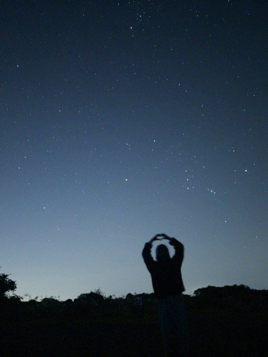 돌멩이 tweet media