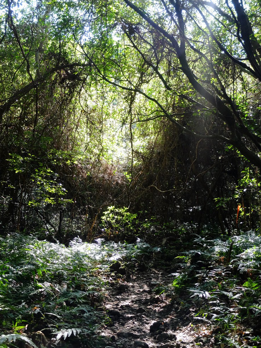 돌멩이 tweet media