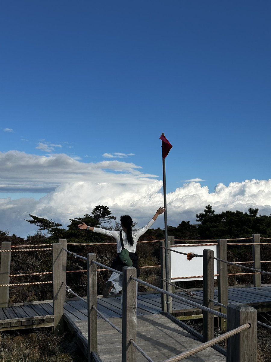 돌멩이 tweet media