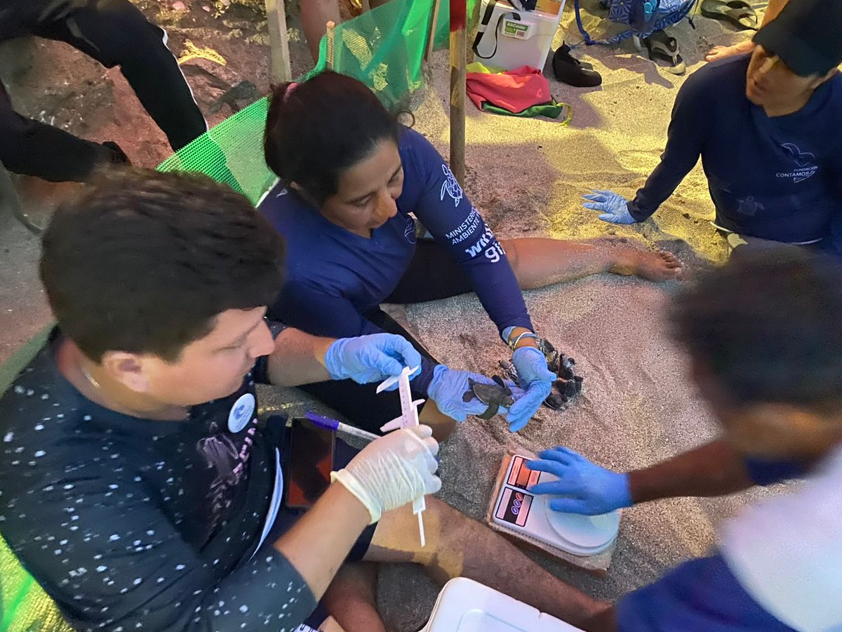 Ministerio de Ambiente y Energía tweet media