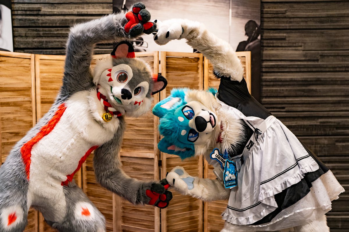 Legoshi Takanashi 🐾🏳️🌈 🔜 NFC tweet media