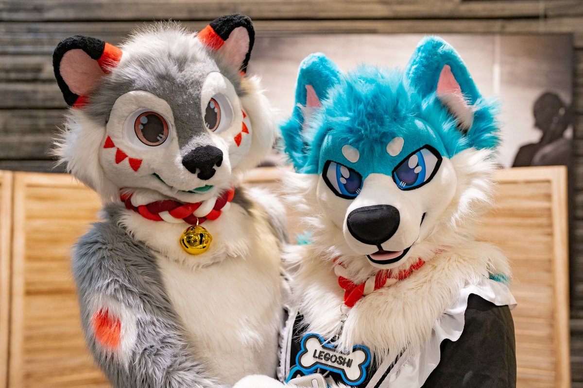 Legoshi Takanashi 🐾🏳️🌈 🔜 NFC tweet media