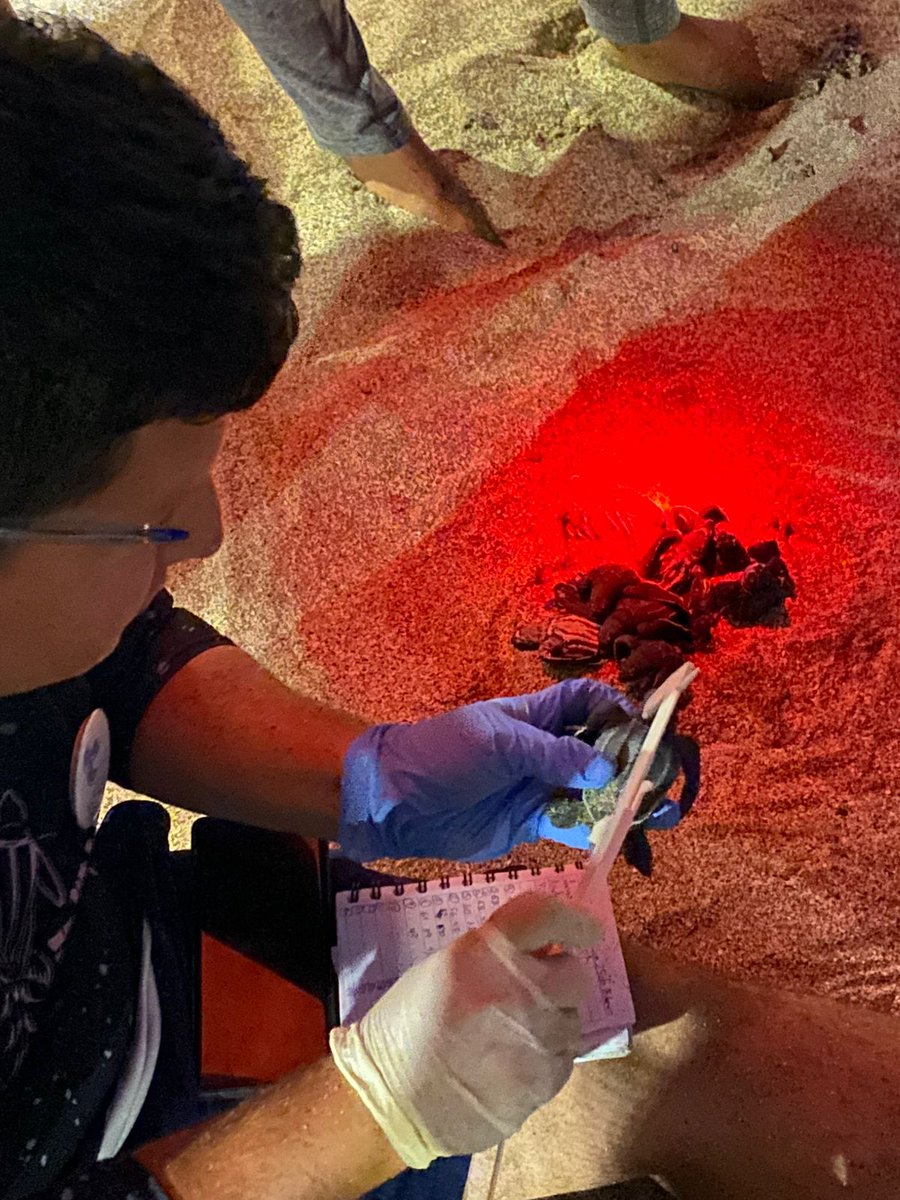 Ministerio de Ambiente y Energía tweet media