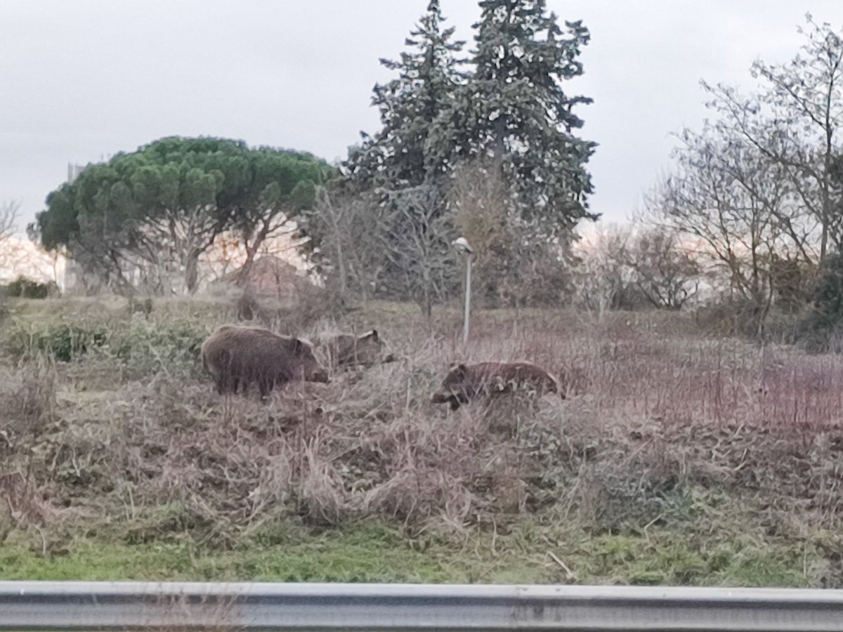 rimbert julie tweet media