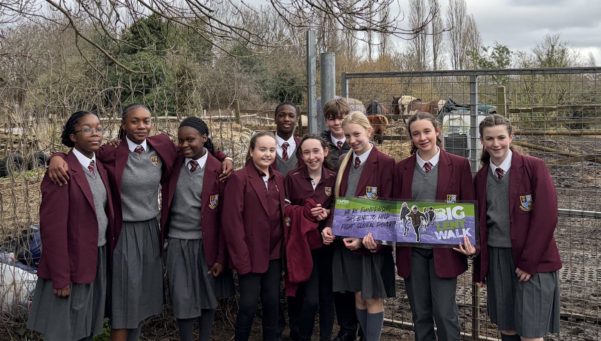 STMComprehensive tweet media