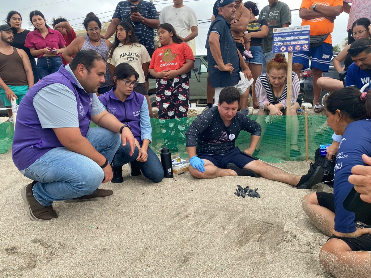 Ministerio de Ambiente y Energía tweet media