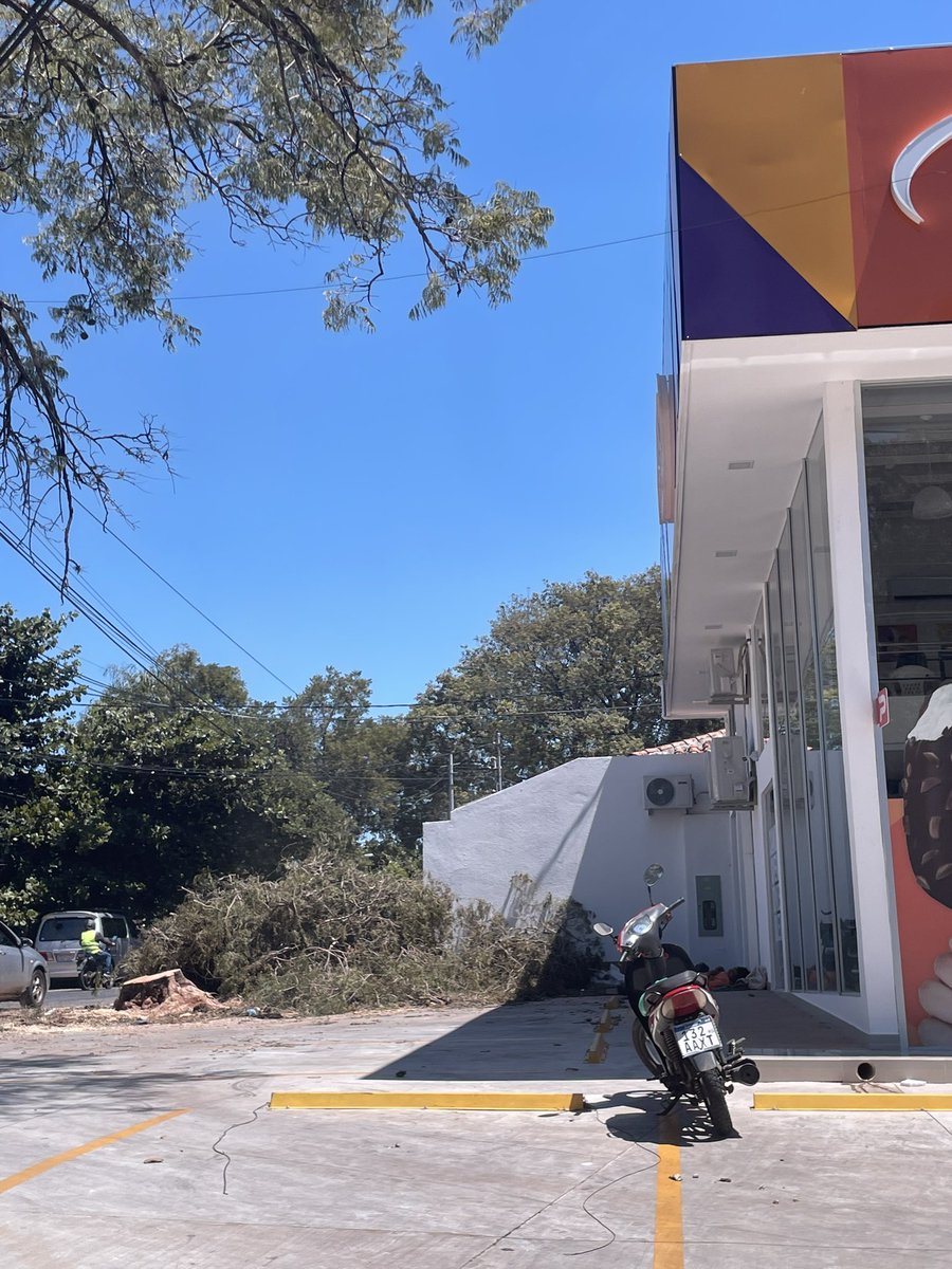 Montsepy's tweet photo. Se eliminan árboles para estacionar mejor! Que país de locos y que municipalidad inexistente! Criminales!  Gaudioso Núñez y José Asunción Flores @AsuncionMuni @mambiente_py @pauliserranopy @pablocallizob https://t.co/0huS76BPXR