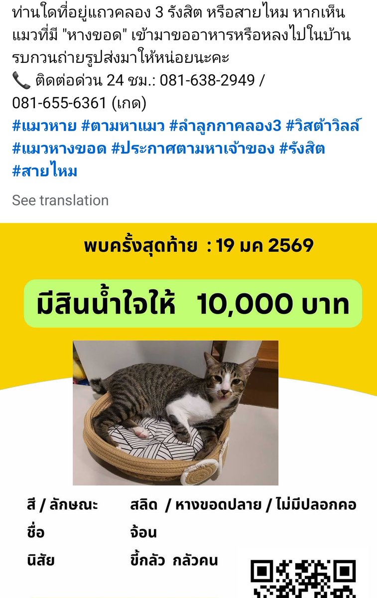 📢 ยังไม่ยอมแพ้! ประกาศตามหา "น้องจ้อน" ครบ 1 เดือนแล้ว 
ขอความเมตตาชาว ลำลูกกา คลอง 3 และพื้นที่ใกล้เคียง ช่วยสังเกตแมวหายค่ะ 
#แมวหาย #ตามหาแมว #ลำลูกกาคลอง3 #วิสต้าวิลล์ #แมวหางขอด #ประกาศตามหาเจ้าของ #รังสิต #สายไหม

น้องหายออกจากบ้านตั้งแต่วันที่ 19 มกราคม 2569