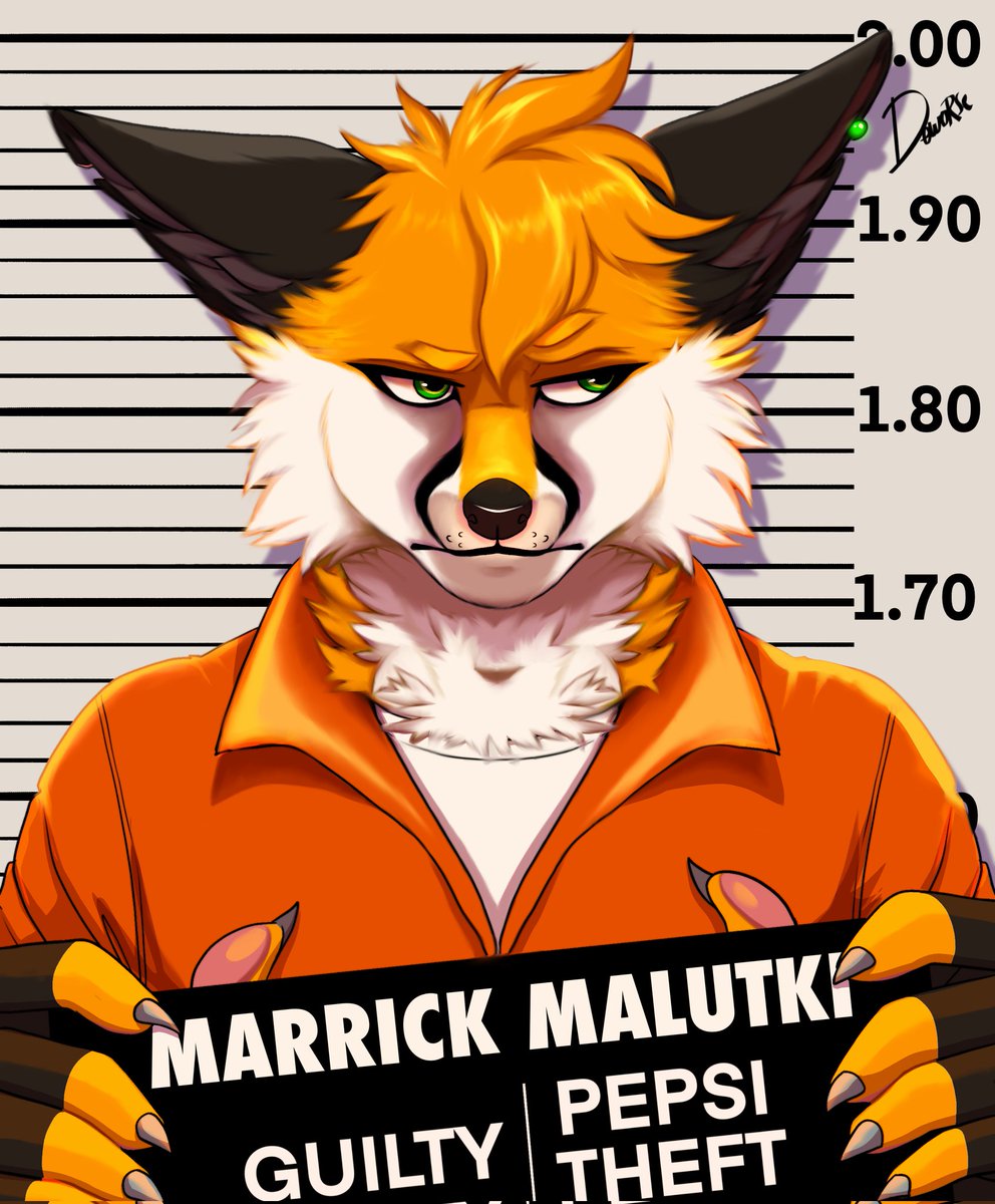 GrumpyFox tweet media