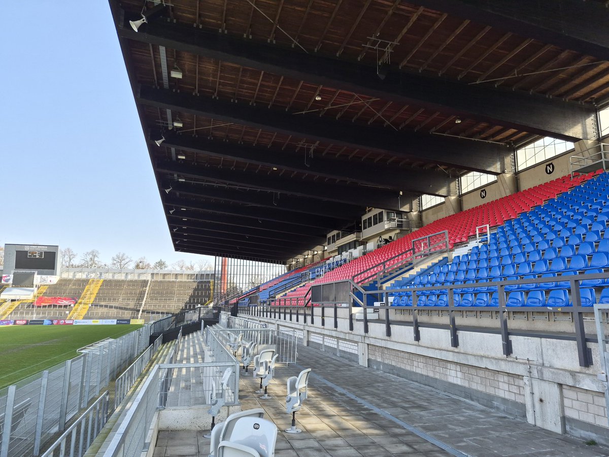 Patrick Steenbergen tweet media