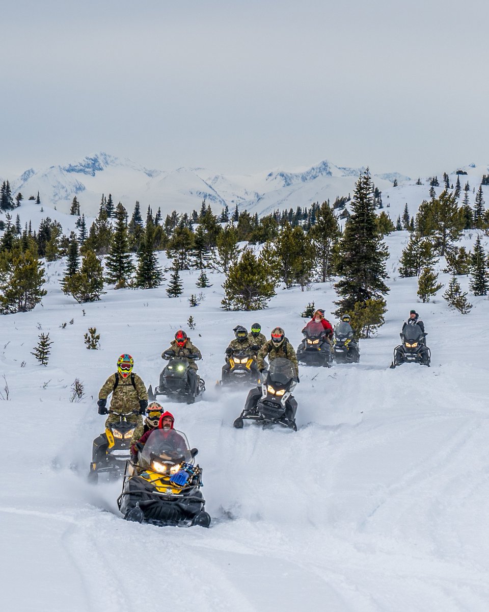 Canadian Armed Forces tweet media