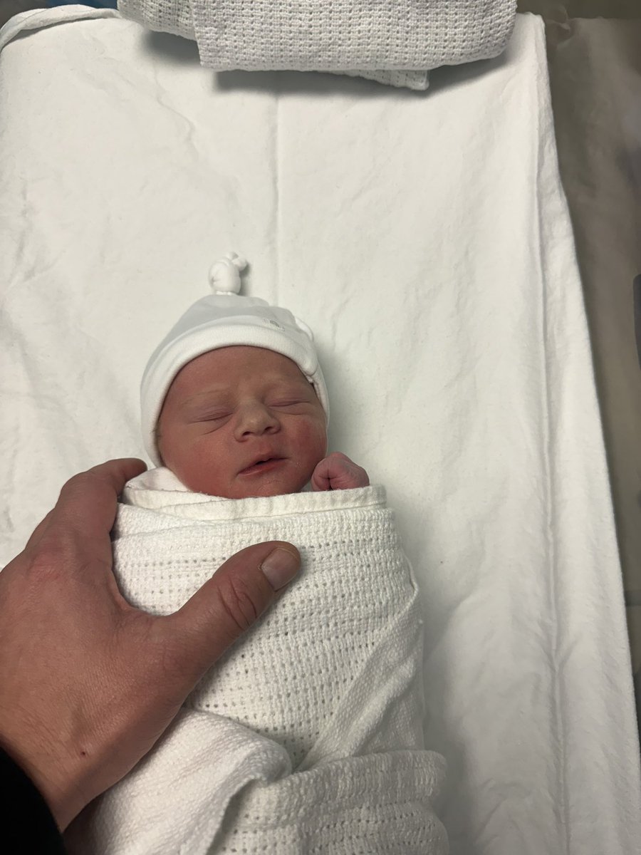 Dan Morrin 🦁 tweet media