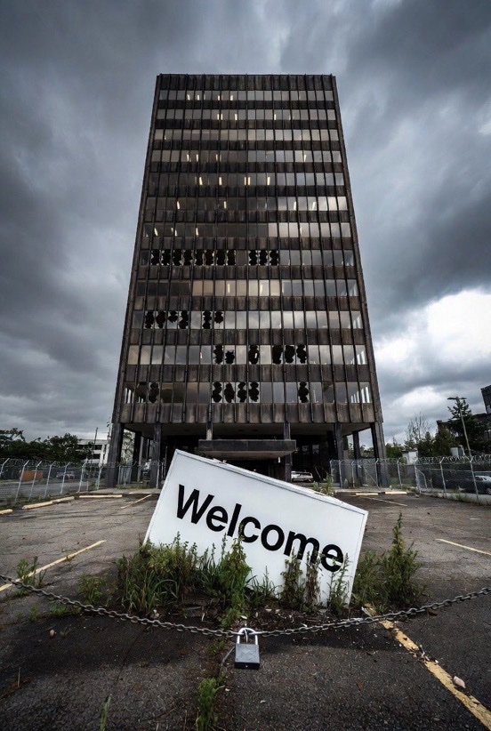 CryptoGoos tweet media