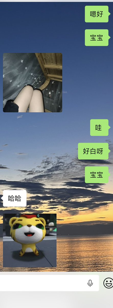 特洛耶 tweet media