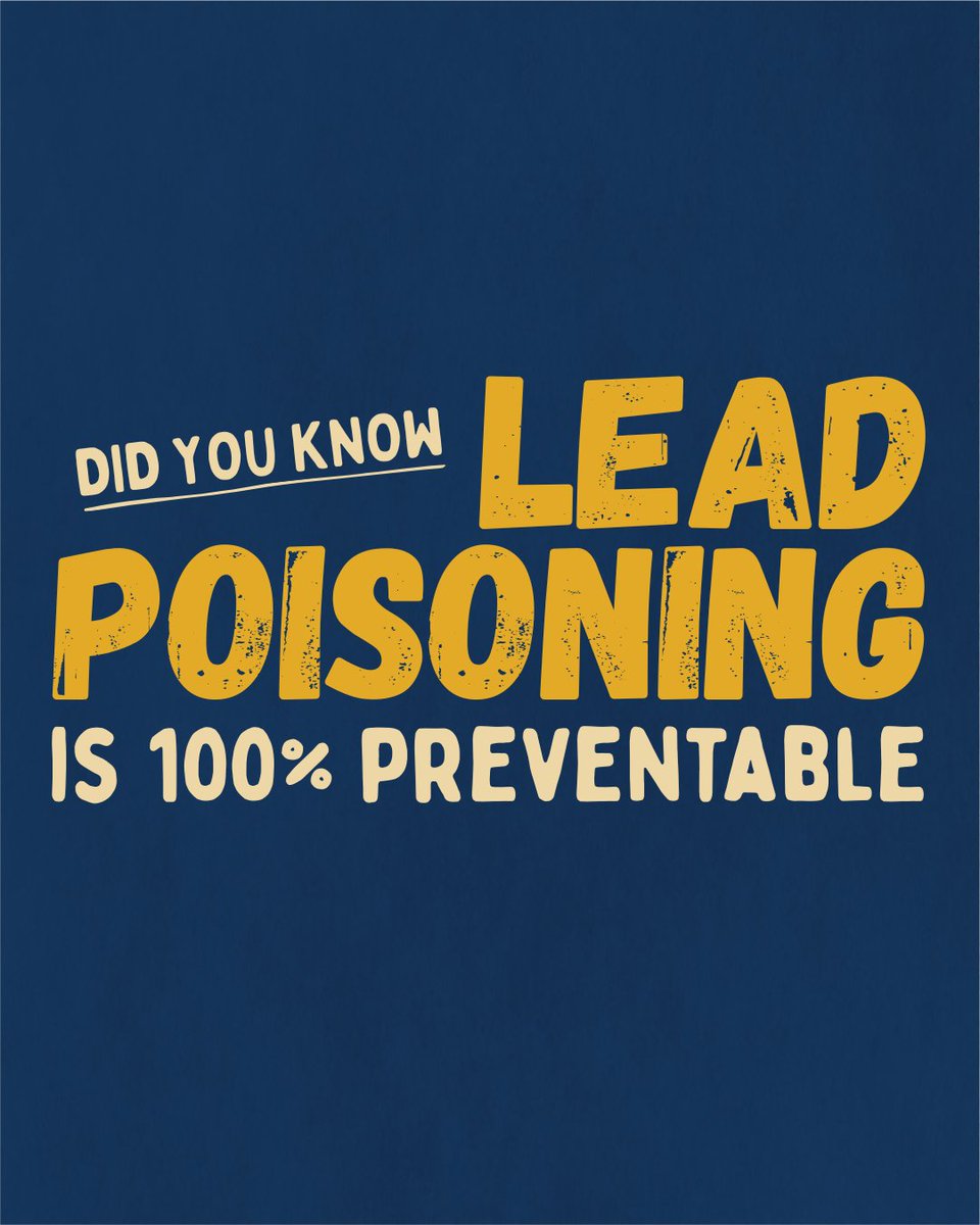 Lead-Free Promise Project tweet media