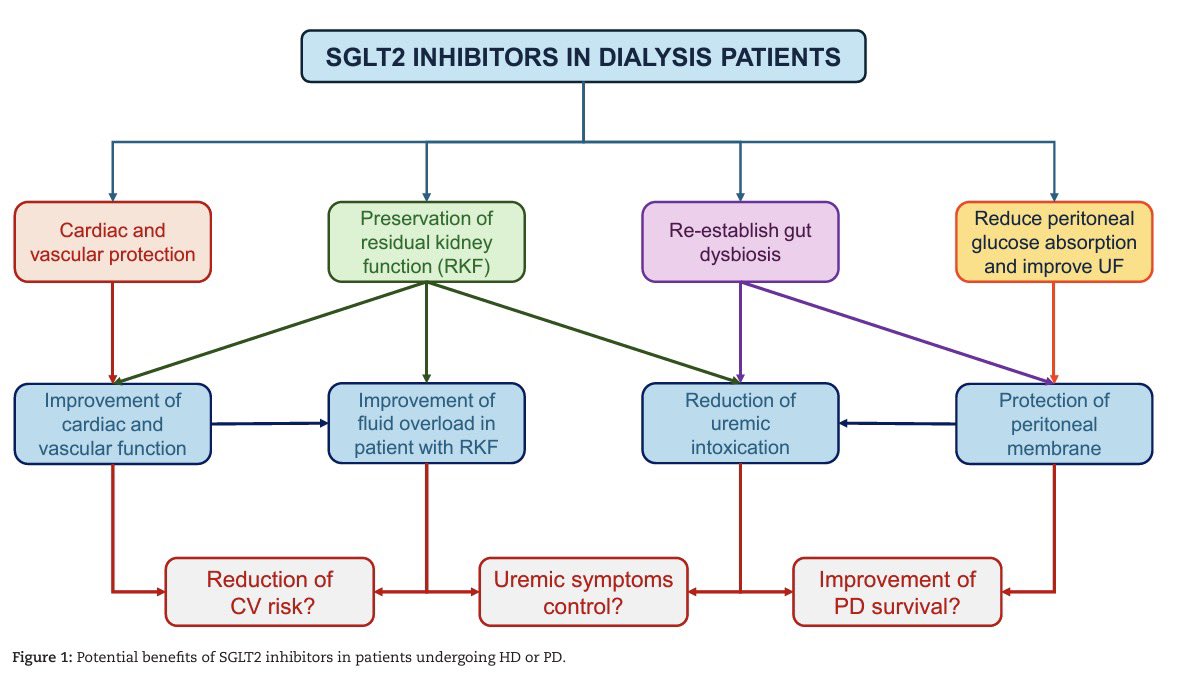 Mariela Ibarra tweet media