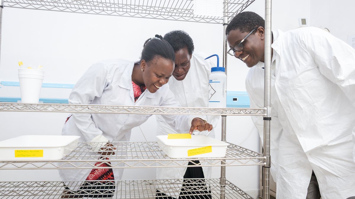 Target Malaria tweet media