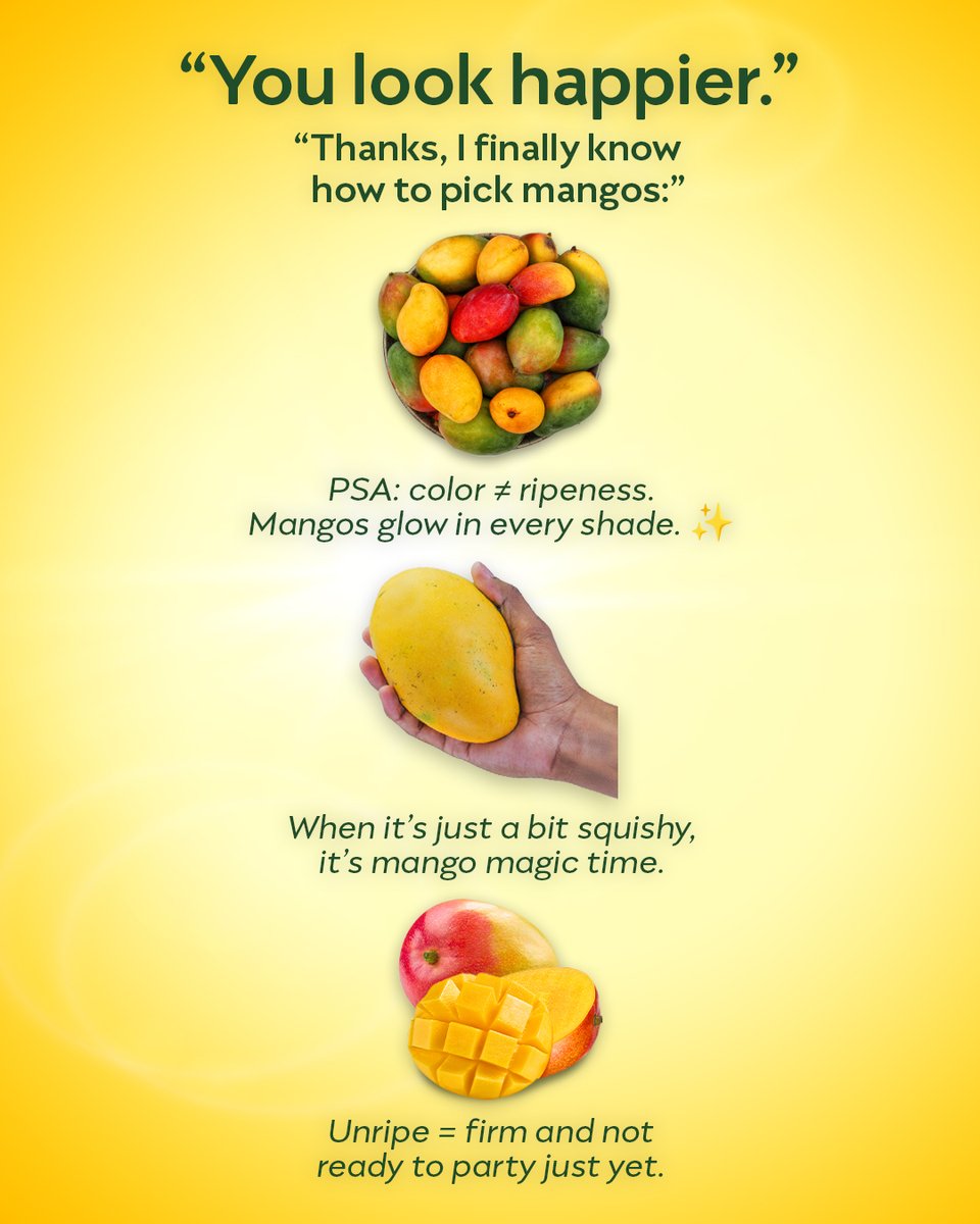 Mango Board tweet media