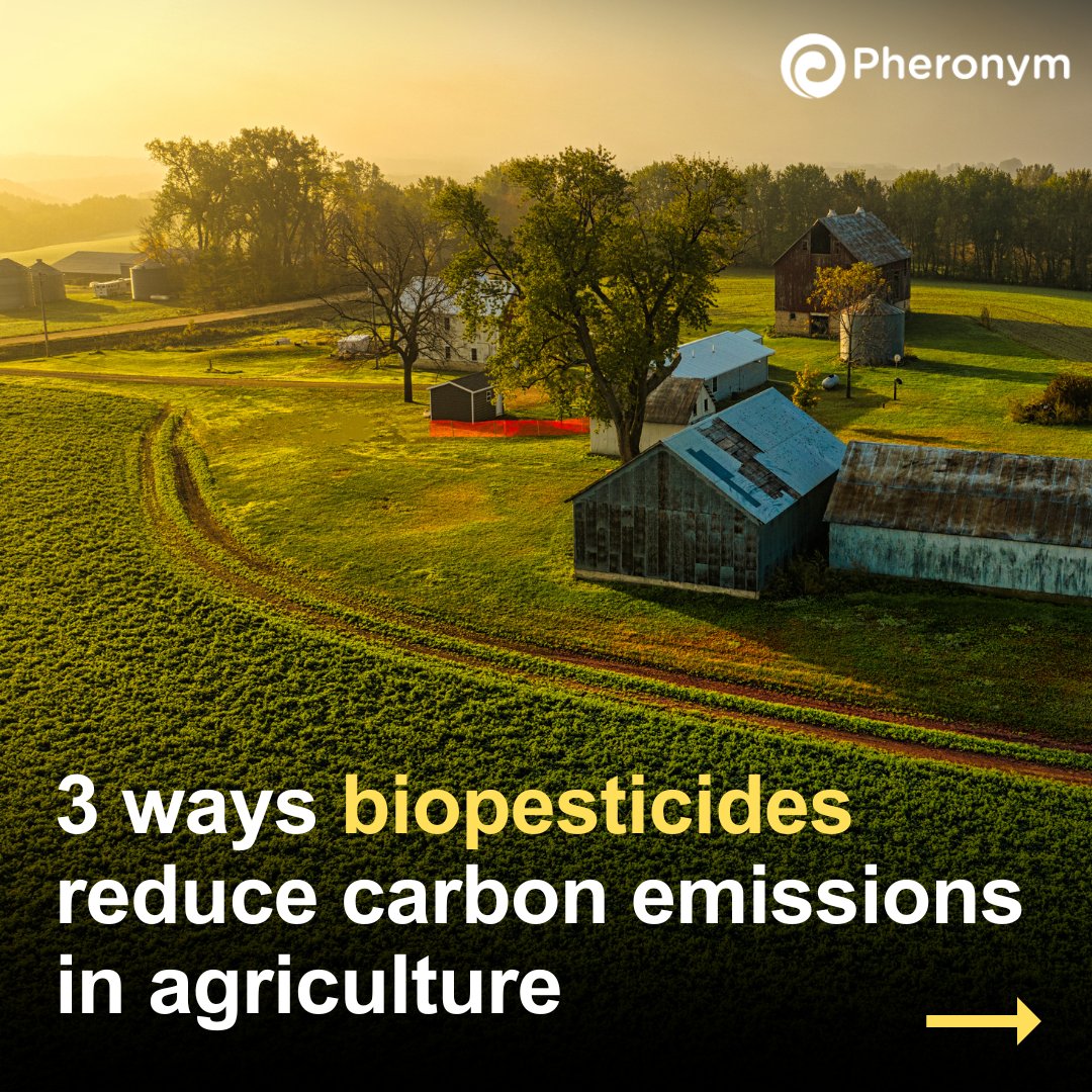 Pheronym tweet media