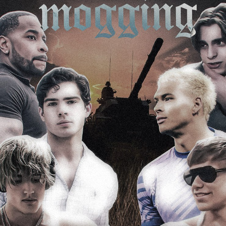 Mog (@MoggingOnSol) / Posts / X