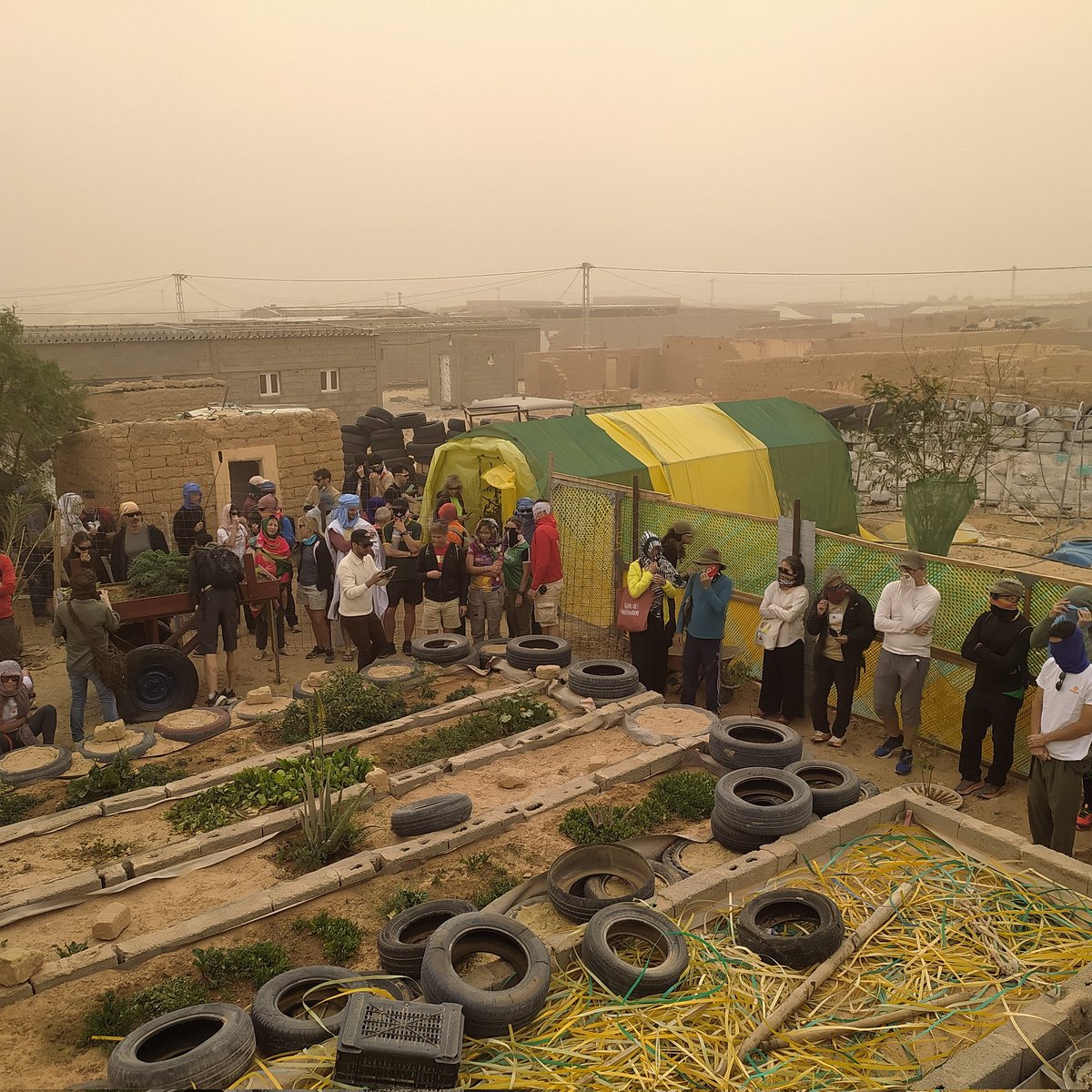 SAHARA MARATHON tweet media