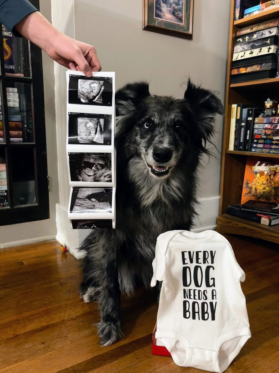 Player 3 has entered the battle! We are super excited and so is my doggo Kopi! I’ll get my gunner for my Starlancer TAC finally!