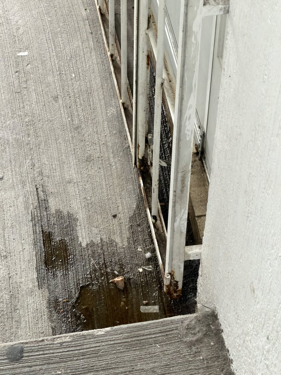 alanbrixgp's tweet photo. @ssp_cdmx como reportó unos perritos abandonados varios días llorando y no aparece nadie, el lugar está escurriendo un líquido con aroma horrible y el lugar se encuentra súper mal oliente ya escurre por debajo la puerta y no se escuchan los animalitos https://t.co/odkGK9zFRw