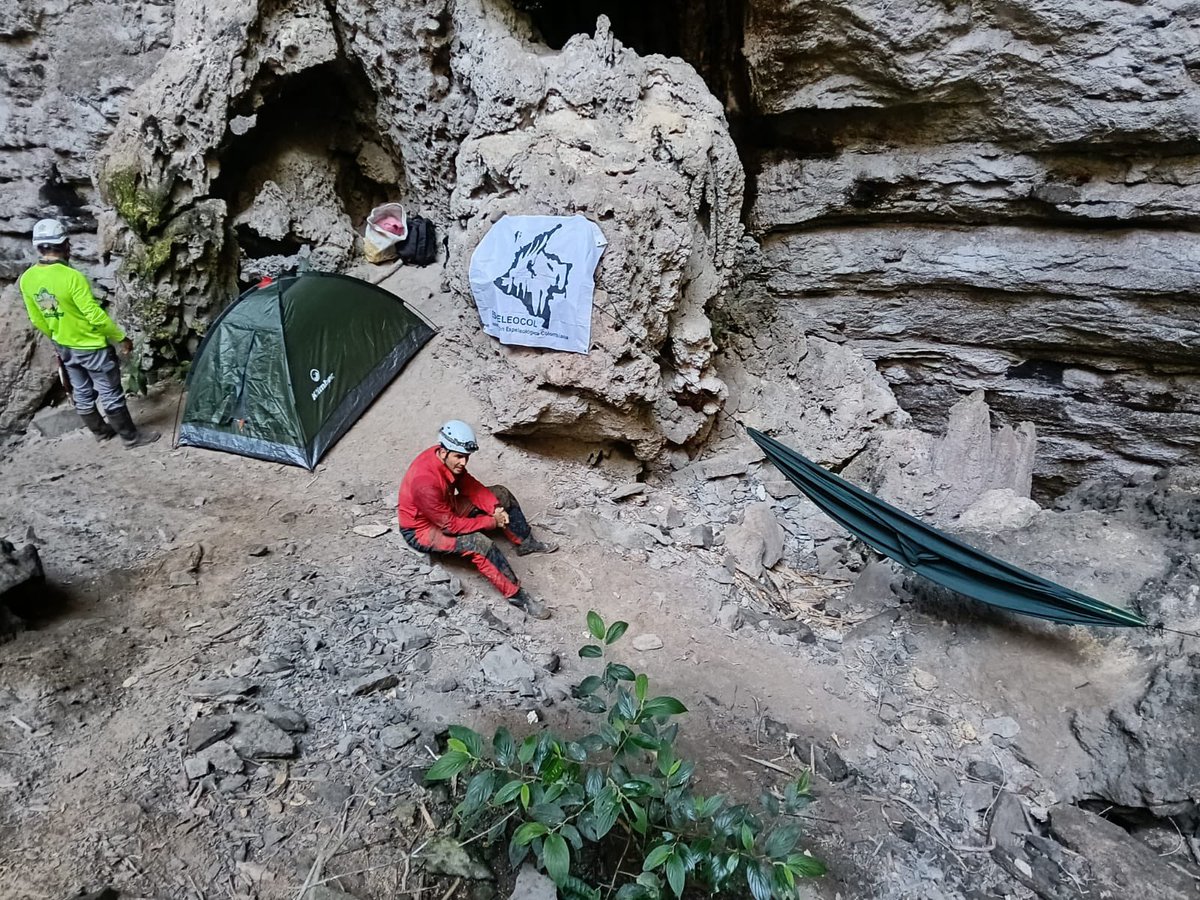 Carlos Lasso tweet media